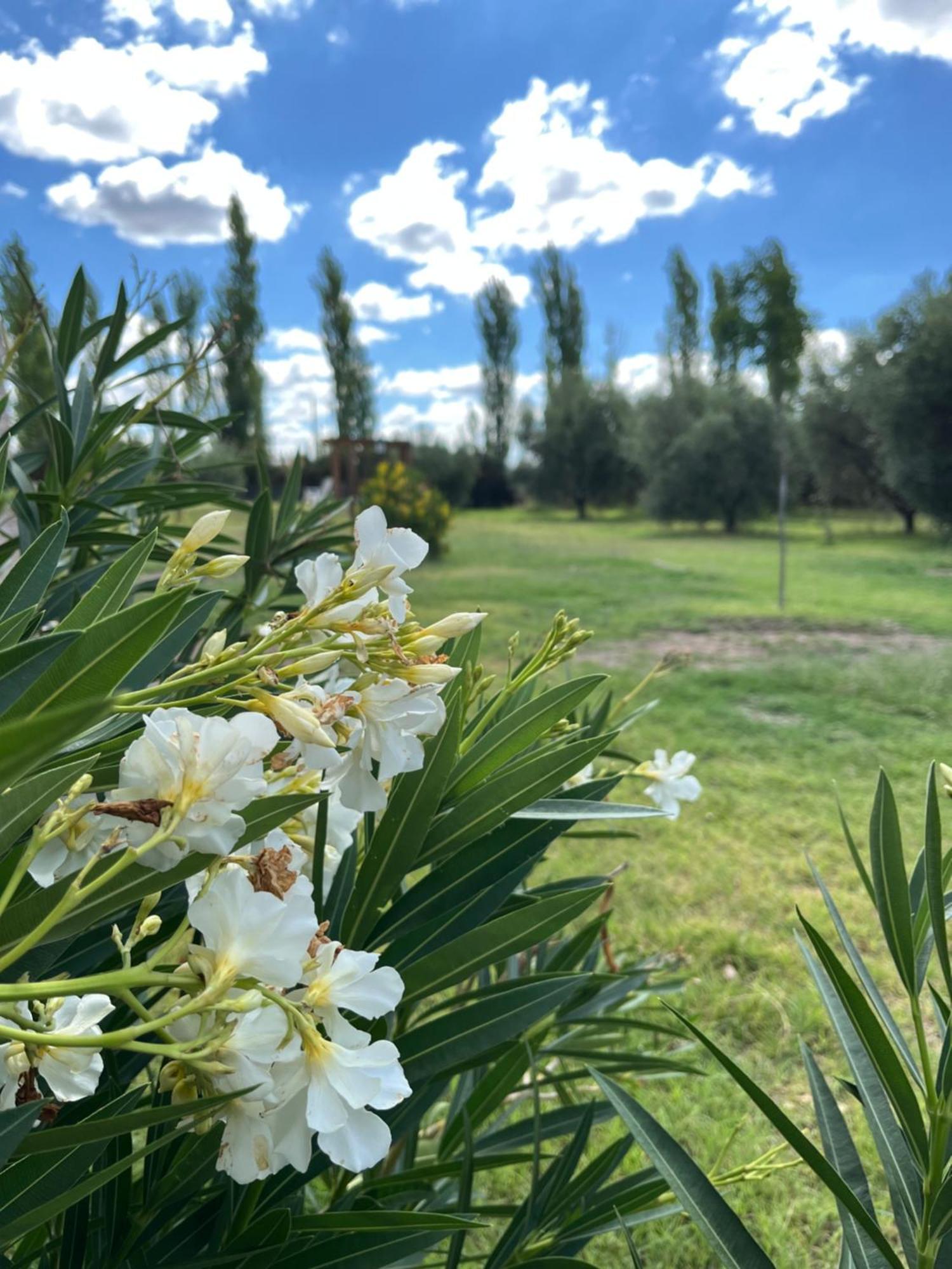 Finca La Calma San Rafael  Luaran gambar